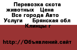 Перевозка скота животных › Цена ­ 39 - Все города Авто » Услуги   . Брянская обл.,Клинцы г.